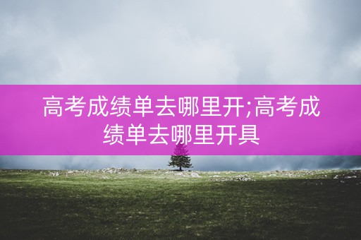 高考成绩单去哪里开;高考成绩单去哪里开具
