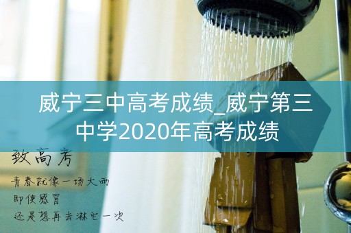 威宁三中高考成绩_威宁第三中学2020年高考成绩
