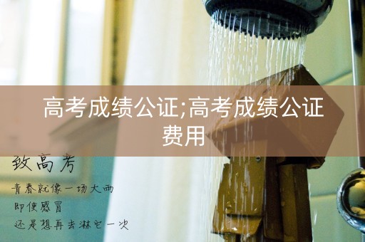 高考成绩公证;高考成绩公证费用