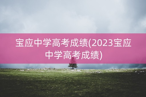 宝应中学高考成绩(2023宝应中学高考成绩)