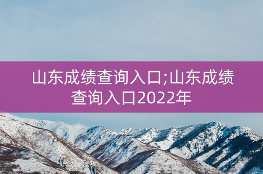 山东成绩查询入口;山东成绩查询入口2022年