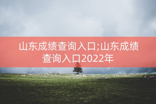 山东成绩查询入口;山东成绩查询入口2022年