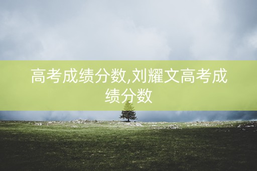 高考成绩分数,刘耀文高考成绩分数