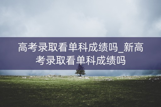 高考录取看单科成绩吗_新高考录取看单科成绩吗