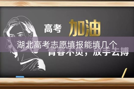 湖北高考志愿填报能填几个