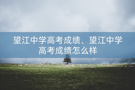 望江中学高考成绩、望江中学高考成绩怎么样