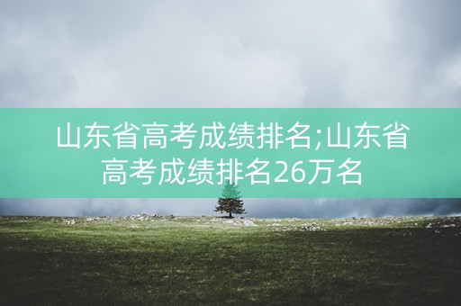 山东省高考成绩排名;山东省高考成绩排名26万名