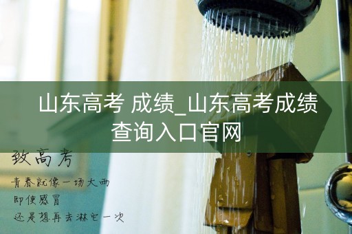 山东高考 成绩_山东高考成绩查询入口官网
