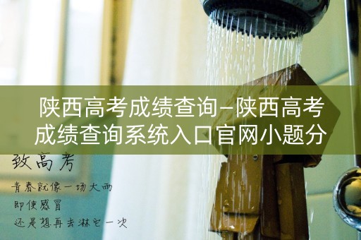 详细阅读:陕西高考成绩查询—陕西高考成绩查询系统入口官网小题分数 陕西高考成绩查询—陕西高考成绩查询系统入口官网小题分数