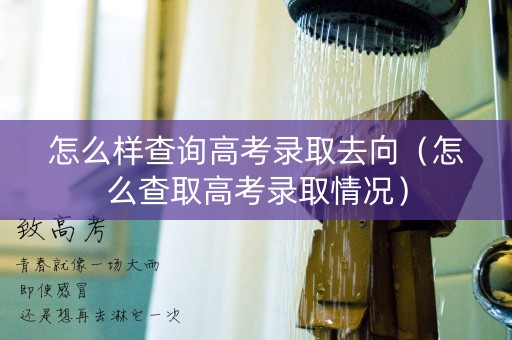 怎么样查询高考录取去向（怎么查取高考录取情况）