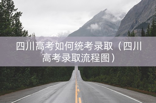 四川高考如何统考录取（四川高考录取流程图）