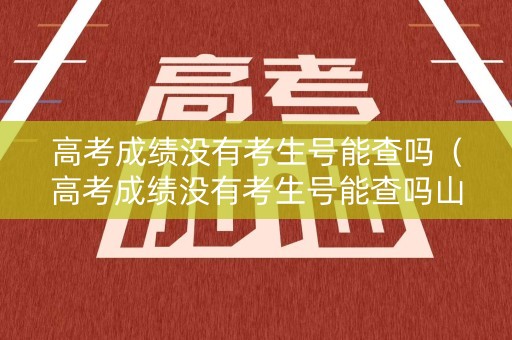 高考成绩没有考生号能查吗（高考成绩没有考生号能查吗山东）