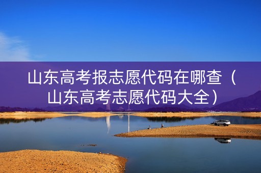 山东高考报志愿代码在哪查（山东高考志愿代码大全）