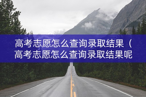 高考志愿怎么查询录取结果（高考志愿怎么查询录取结果呢）