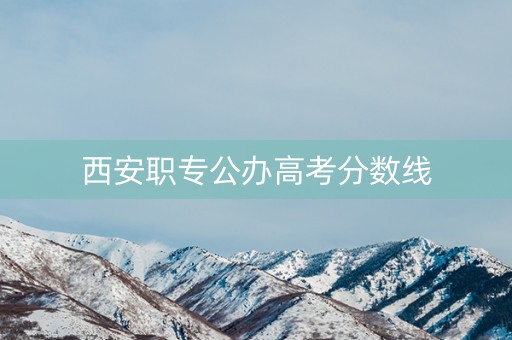 西安职专公办高考分数线