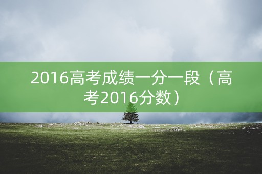 2016高考成绩一分一段（高考2016分数）