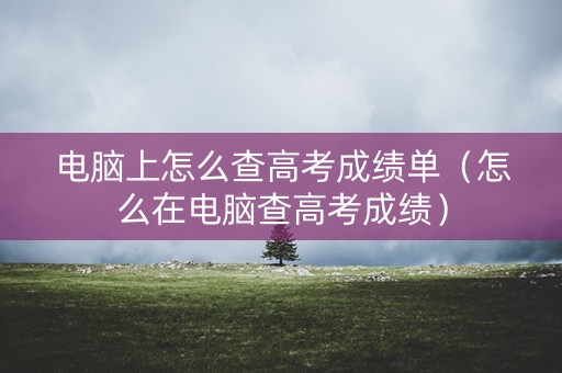 电脑上怎么查高考成绩单（怎么在电脑查高考成绩）