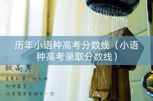历年小语种高考分数线（小语种高考录取分数线）