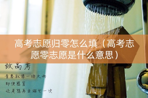 高考志愿归零怎么填（高考志愿零志愿是什么意思）