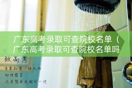 广东高考录取可查院校名单（广东高考录取可查院校名单吗知乎）