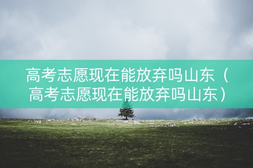 高考志愿现在能放弃吗山东（高考志愿现在能放弃吗山东）