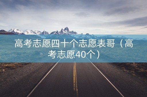 高考志愿四十个志愿表哥（高考志愿40个）
