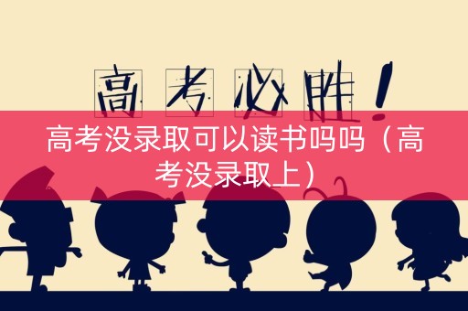 高考没录取可以读书吗吗（高考没录取上）