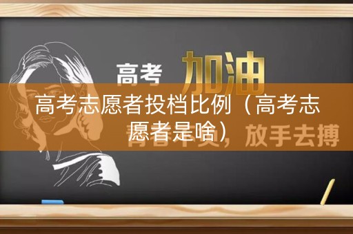 高考志愿者投档比例（高考志愿者是啥）