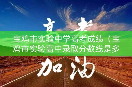 宝鸡市实验中学高考成绩（宝鸡市实验高中录取分数线是多少）