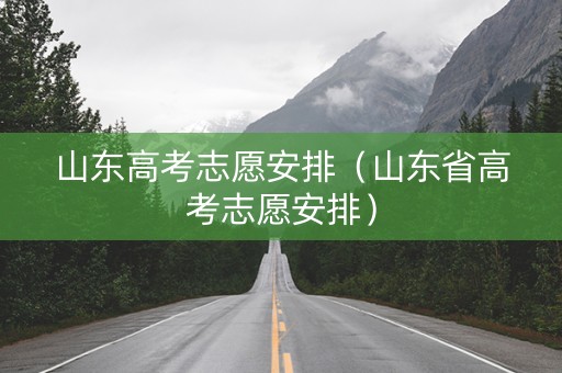 山东高考志愿安排（山东省高考志愿安排）