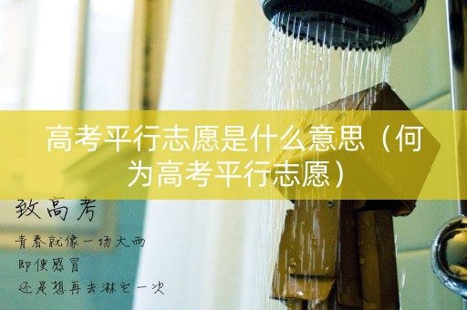 详细阅读:高考平行志愿是什么意思(何为高考平行志愿) 高考平行志愿是什么意思(何为高考平行志愿)