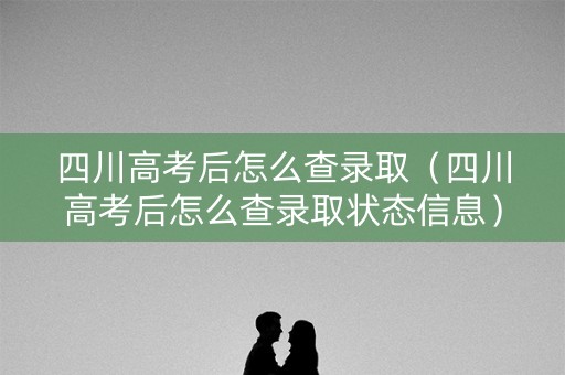 四川高考后怎么查录取（四川高考后怎么查录取状态信息）