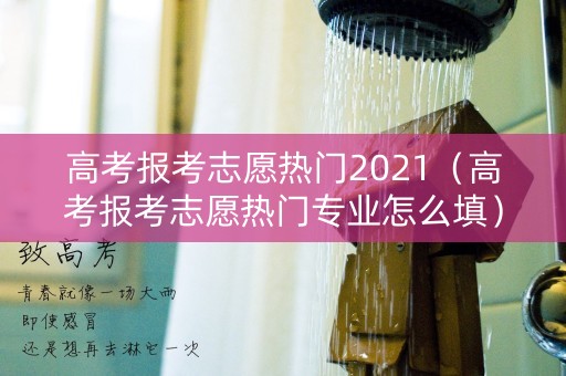 高考报考志愿热门2021（高考报考志愿热门专业怎么填）