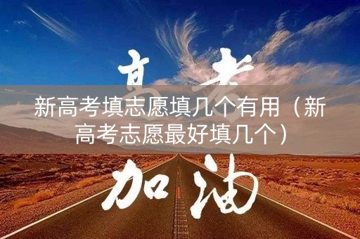 新高考填志愿填几个有用（新高考志愿最好填几个）