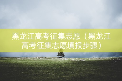黑龙江高考征集志愿（黑龙江高考征集志愿填报步骤）