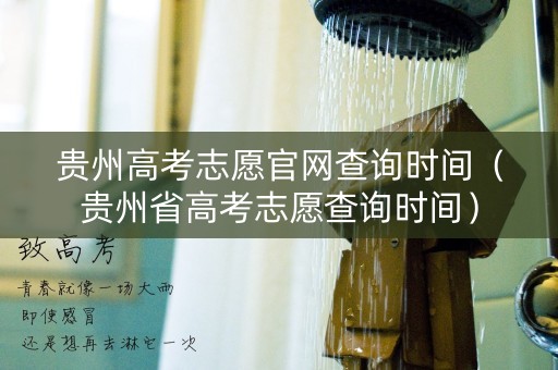 贵州高考志愿官网查询时间（贵州省高考志愿查询时间）