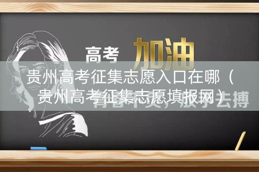 贵州高考征集志愿入口在哪（贵州高考征集志愿填报网）