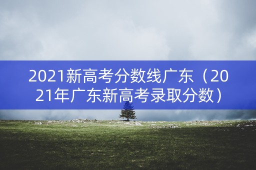 2021新高考分数线广东（2021年广东新高考录取分数）