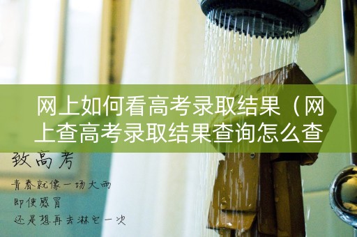 网上如何看高考录取结果（网上查高考录取结果查询怎么查）