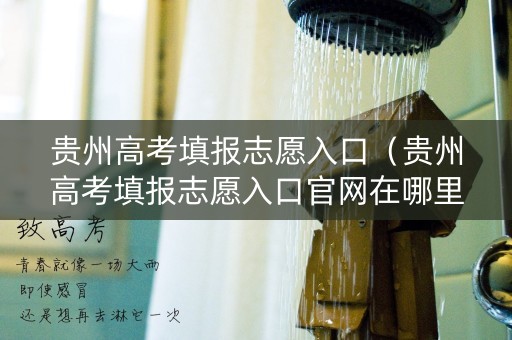贵州高考填报志愿入口（贵州高考填报志愿入口官网在哪里修改密码）