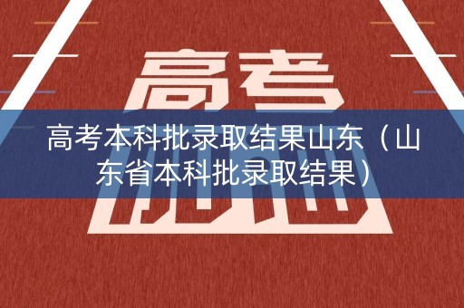 高考本科批录取结果山东（山东省本科批录取结果）