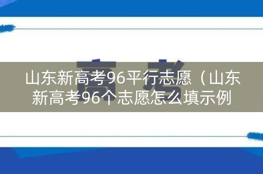 山东新高考96平行志愿（山东新高考96个志愿怎么填示例图片）