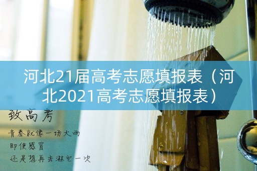 河北21届高考志愿填报表（河北2021高考志愿填报表）