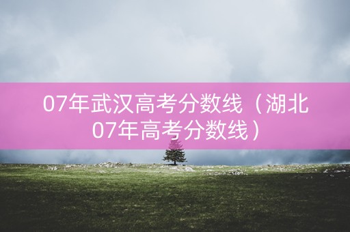 07年武汉高考分数线（湖北07年高考分数线）