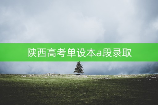 陕西高考单设本a段录取