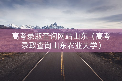 高考录取查询网站山东（高考录取查询山东农业大学）