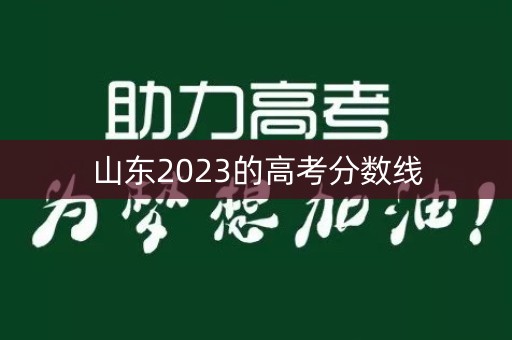 山东2023的高考分数线