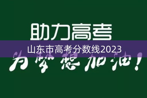 山东市高考分数线2023