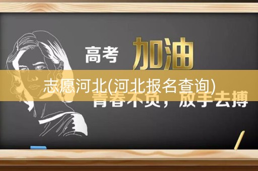 志愿河北(河北报名查询)