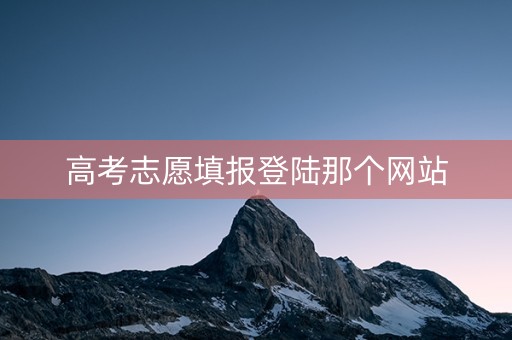 高考志愿填报登陆那个网站